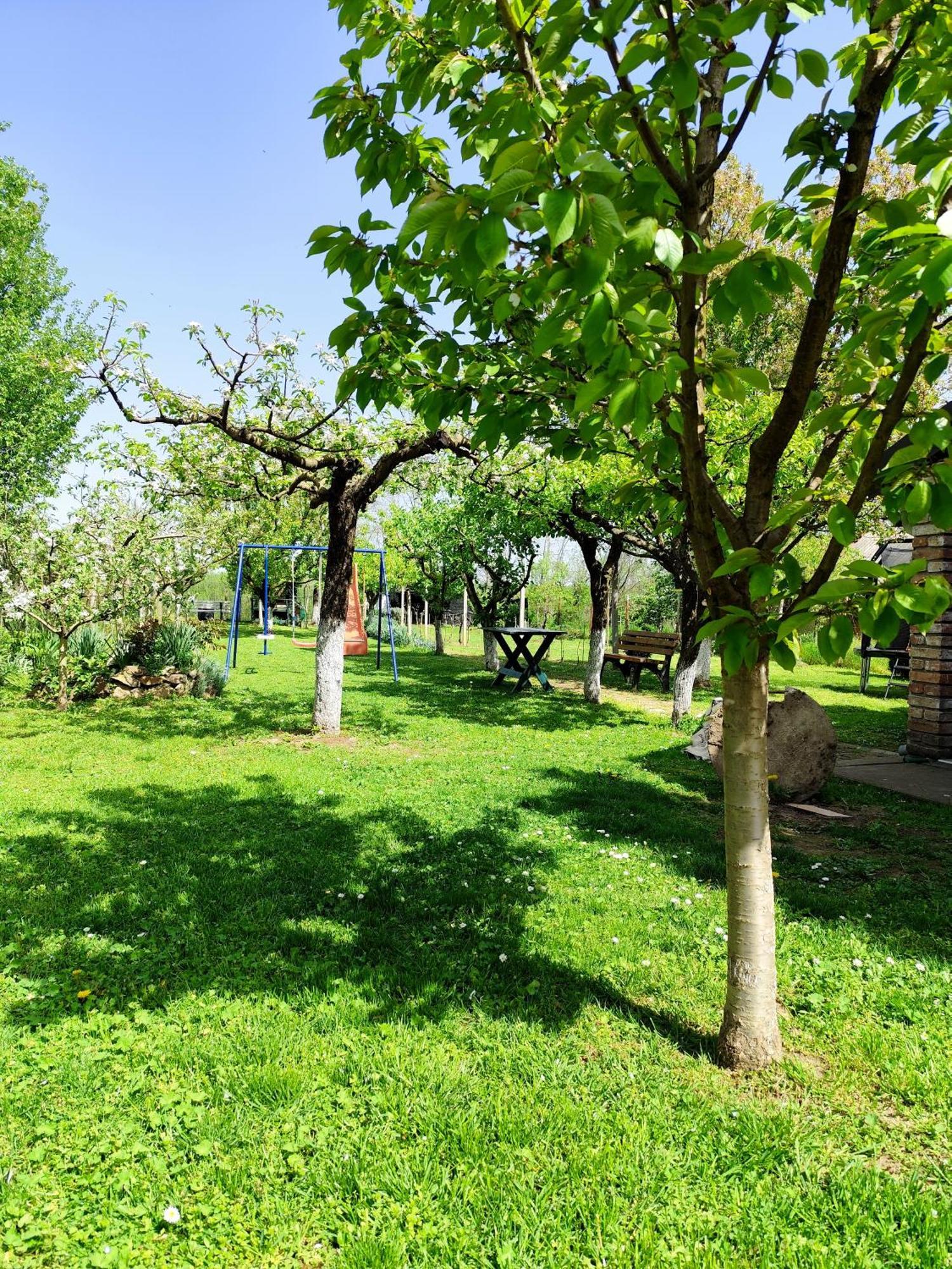 Kuca Za Odmor Mirni Kutak Vukovar Luaran gambar